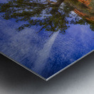 Windswept Harmony of Bark and Sky Metal print