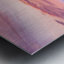 WHISPERS THROUGH THE SUNLIT CANOPY Metal print