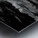 Bark and Cloud: A Monochrome Dialogue Metal print