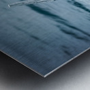 Oceans Driftwood Sentinel Metal print