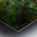 Moss Kissed Canopy Light Metal print