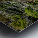 Mossy Brook Symphony   Impression metal