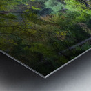 Mossy Embrace of Stability Metal print