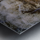 Untouched Serenity in Infrared Metal print