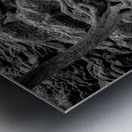 Forest Floor Labyrinth Metal print