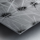 Symmetry in Spine Impression metal