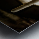 Desert Essence Metal print