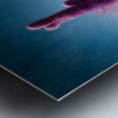 Deserts Purple Dream Impression metal