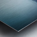 Ethereal Cactus Serenade Impression metal