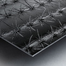 Prickly Pathway Metal print