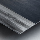 Essence of Life in Still Waters Metal print