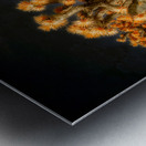 Joshuas Celestial Canopy Metal print