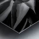 Silent Symphony of Leafy Angles Metal print