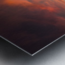 Dreams Beyond the Fence Metal print