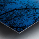 Spirit Triumphant: Louisiana Protection Metal print