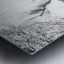 Rustic Relic   Missing Motor Metal print