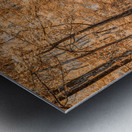 Golden Path Metal print