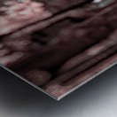 Springs Gentle Ascent Metal print