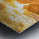 Harvest Gold Metal print