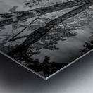 Silent Surrender: The McLean House in Appomattox Courthouse Town Metal print