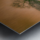 Sherfys Legacy: Copper Skies Metal print