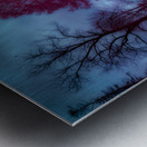 Rose Farm Dream Impression metal