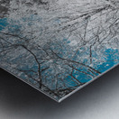 Infrared Exploration: Unveiling the Beauty of Seminary Bells in  Metal print