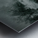 Surrenders Serenity Metal print