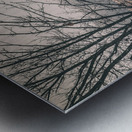 Russet Barn  Pano Metal print