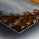 Mueller Aspen Series: Metal print