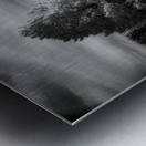 Mueller Aspen Series: Natures Finale Metal print