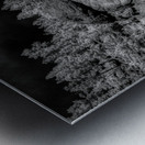 Enigmatic Elegance: Sylvan Lakes Monochrome Marvel Metal print