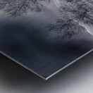 Mueller Aspen Series: Grove of Tranquility Metal print