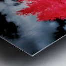 Spiritual Splendor   Exploring the Ghost Town of Marysville Mon Metal print