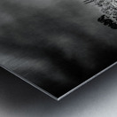 Sylvan Shadows: A Moody Encounter with Natures Drama in Custer  Metal print