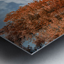 Pumpkin Skies at Coolidge Metal print