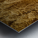 Pine Serenity: An Glimpse of Sylvan Lakes Tranquility Metal print