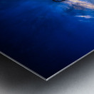 Navigating the Sunset: A Memorable Boat Ride with Wet Net Charte Metal print