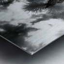 Reaching for the Storms Canopy Impression metal