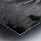 Natures Shadow Ballet Metal print