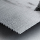 Echoes of a Prickly Past Impression metal