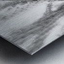 Prickly Dance on a Blurred Canvas Impression metal