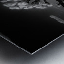 Ghostly Terrain Under Infinite Sky Metal print