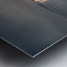 Maritime Melancholy: Shipwrecked Serenity Impression metal