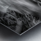 Flowing Elegance Metal print