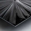 Palm Symmetry Elegance Metal print