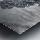 Mystical Twins: Unveiling the Beauty of Venetian Gardens in Lees Impression metal