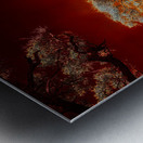 Ruby Bonsai: A Botanical Marvel Unveiled on Driftwood Beach Metal print