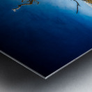 Isolated Serenity: Rows End Impression metal