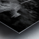 Texture of the Tropics Impression metal